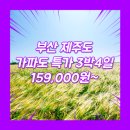 동양관광여행사 | 부산출발 제주도 패키지 특가 여행사 / 김해공항 / 부산_특가_제주도_3박4일 #관광패키지 #가파도 #석조