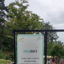 외미골이야기