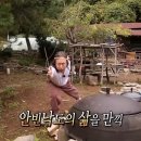 솔비알 | 평창 솔비알캠핑장 계곡뷰, 개별샤워장 너무 좋았던 후기