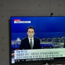 대포항회세꼬시