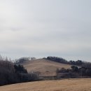 닭섬목장 Daum카페