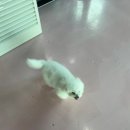 루이야학교가자 이미지