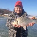 항포낚시터 이미지