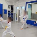 위너태권도장 이미지