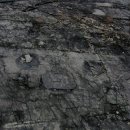 도천리 공룡 발자국 이미지