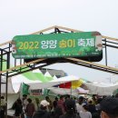 송이투어 이미지