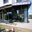디저트39동탄신리천점 | [동탄 강아지동반 카페] 감동적인 멍푸치노 무료 서비스! 신리천 '카시아 별관' 달리와 함께한 솔직 후기