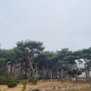 엄마손케어 이미지