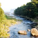 강정동-40 이미지