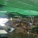 도림사계곡 이미지