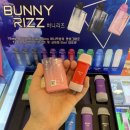 리즈(RIZZ) 네이버블로그