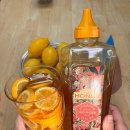 장생농장 | 대용량 베트남꿀 자연벌꿀 환절기 면역력 후기