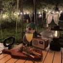 트리앤캠프스토리 이미지