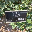 2024-주217 이미지