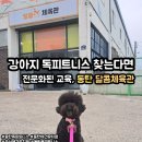 달콤체육관 이미지