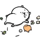 여의도싸비체육관 이미지