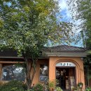 사과나무집 | [맛집_예산] 예산 맛집 사과나무 솔직후기｜보리밥 나물정식부터 사과돈가스까지 혜자 맛집