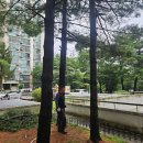 504동 나무가지 제거 이미지