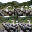 고천마실 이미지