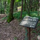 서봉산 산림욕장 2 이미지