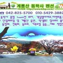 계룡산 동학사 스타 펜션