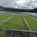 복기농장 이미지