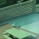 제1기 영어키움반 | 저와 마갈 가실 분을 모집합니다