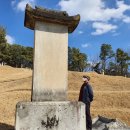 김유선생 신도비 이미지