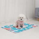 쿨 퍼피 이미지