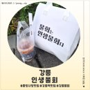 인생맛집 - 강릉시 | <강원 강릉> 강릉 물회 중앙시장 맛집 인생물회 후기