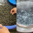 내고향다슬기 이미지