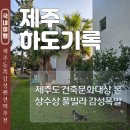 하도소리 | 제주 동쪽 펜션 강아지 동반 하도기록