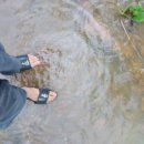 산의농장 이미지