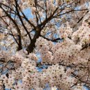 거창-고제-10 이미지