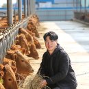 청송한우농장 이미지