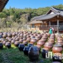 장흥청태전 영농조합법인 | [전남투데이] 장흥군 청년활동가, 사회적경제기업 홍보 나섰다