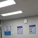 필국어논술