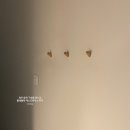 돌담이네 | 여자혼자 제주 동쪽 숙소 추천 하도리 폴레폴레게스트하우스 돌담방 연박 후기