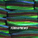 신라장식 - 송파구 백제고분로 144 | 신라장식