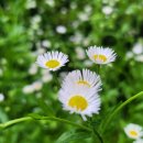 2737/ We need to be understanding of our spouse. 이미지