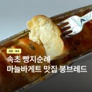 피유디 | 속초 빵집 어디가 근본일까? 봉브레드 마늘바게트 솔직후기