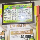 꽃돼지갈매기 이미지