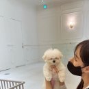 멈미스 이미지