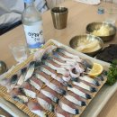 모슬포 | 제주 공항 고등어회 맛집 모슬포 고등어 먹고온 후기