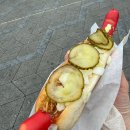 덴마크 코펜하겐 스테프핫도그 steffhotdog 북유럽여행