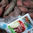 지와이팜 이미지