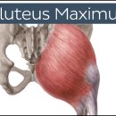 운동의 미학 이미지