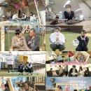 잉꼬사진관 이미지