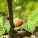 우일농장 이미지