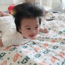 블랙트리하우스 이미지